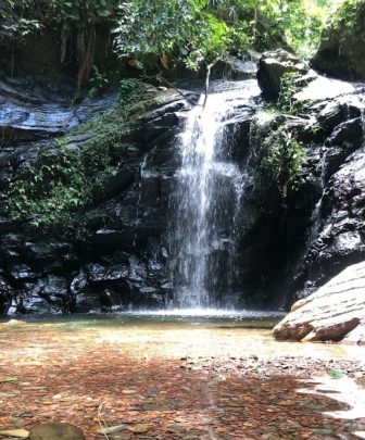 mayan king waterfall